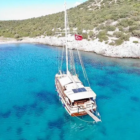 Saracoglu Vip Botel *